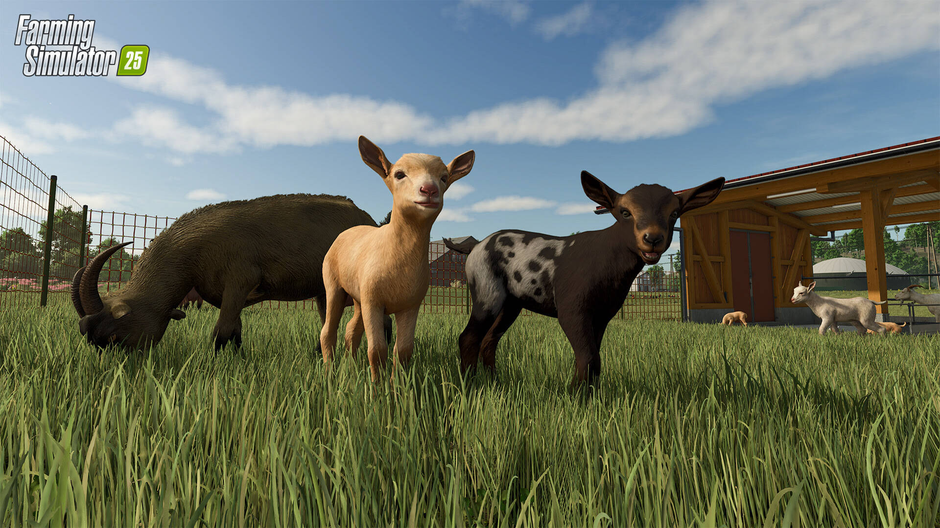 《模拟农场25/Farming Simulator 25》v1.10.0.0联机版【ID:15362】插图3-拾艺肆